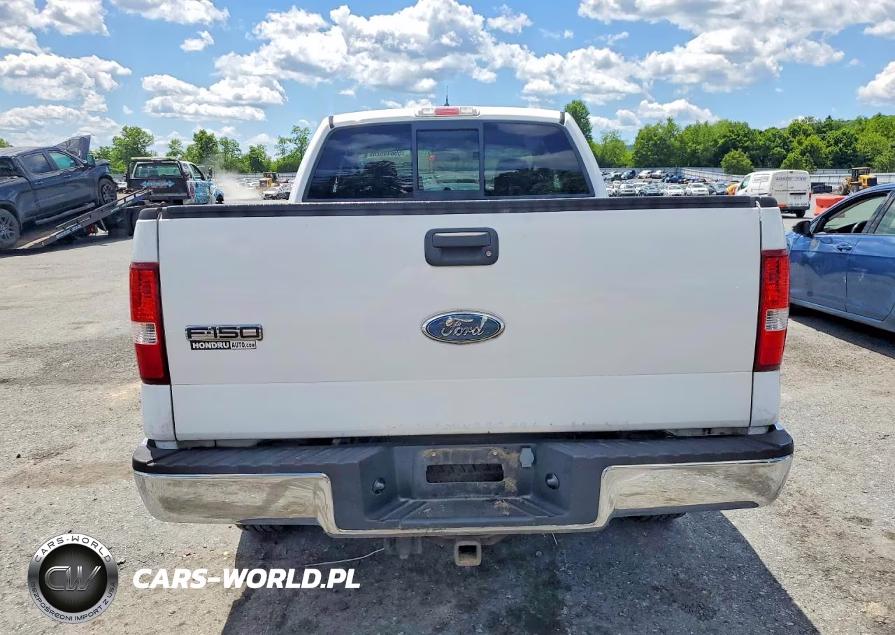 2006 Ford F150 VIN:1FTRX14W76NB73419 - 6
