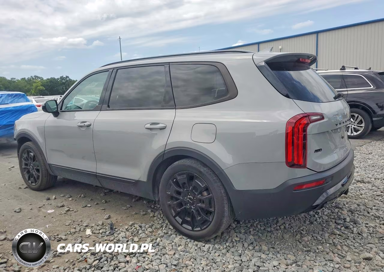 2022 Kia Telluride Sx VIN:5XYP5DHC2NG301912 - 2