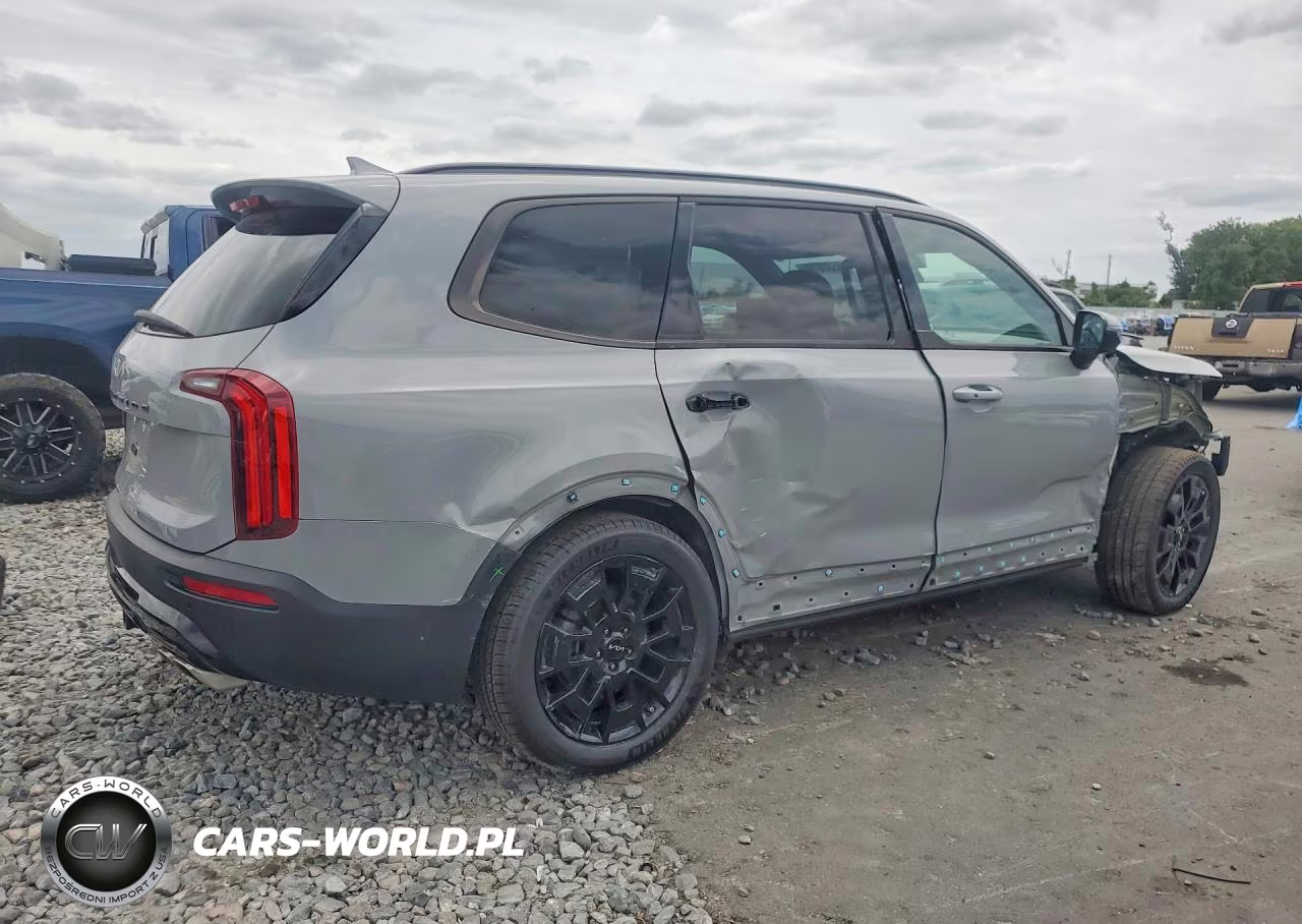 2022 Kia Telluride Sx VIN:5XYP5DHC2NG301912 - 3