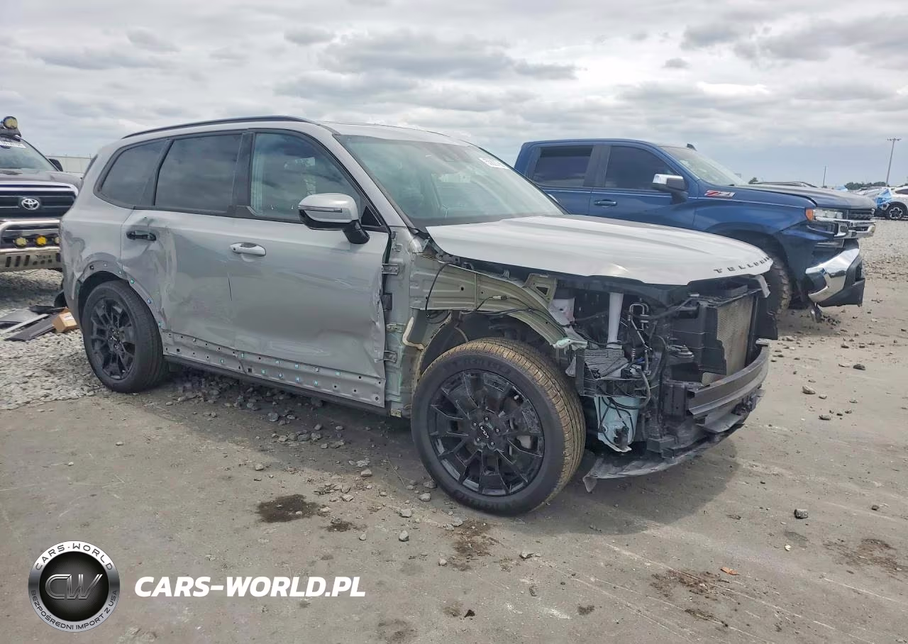 2022 Kia Telluride Sx VIN:5XYP5DHC2NG301912 - 4