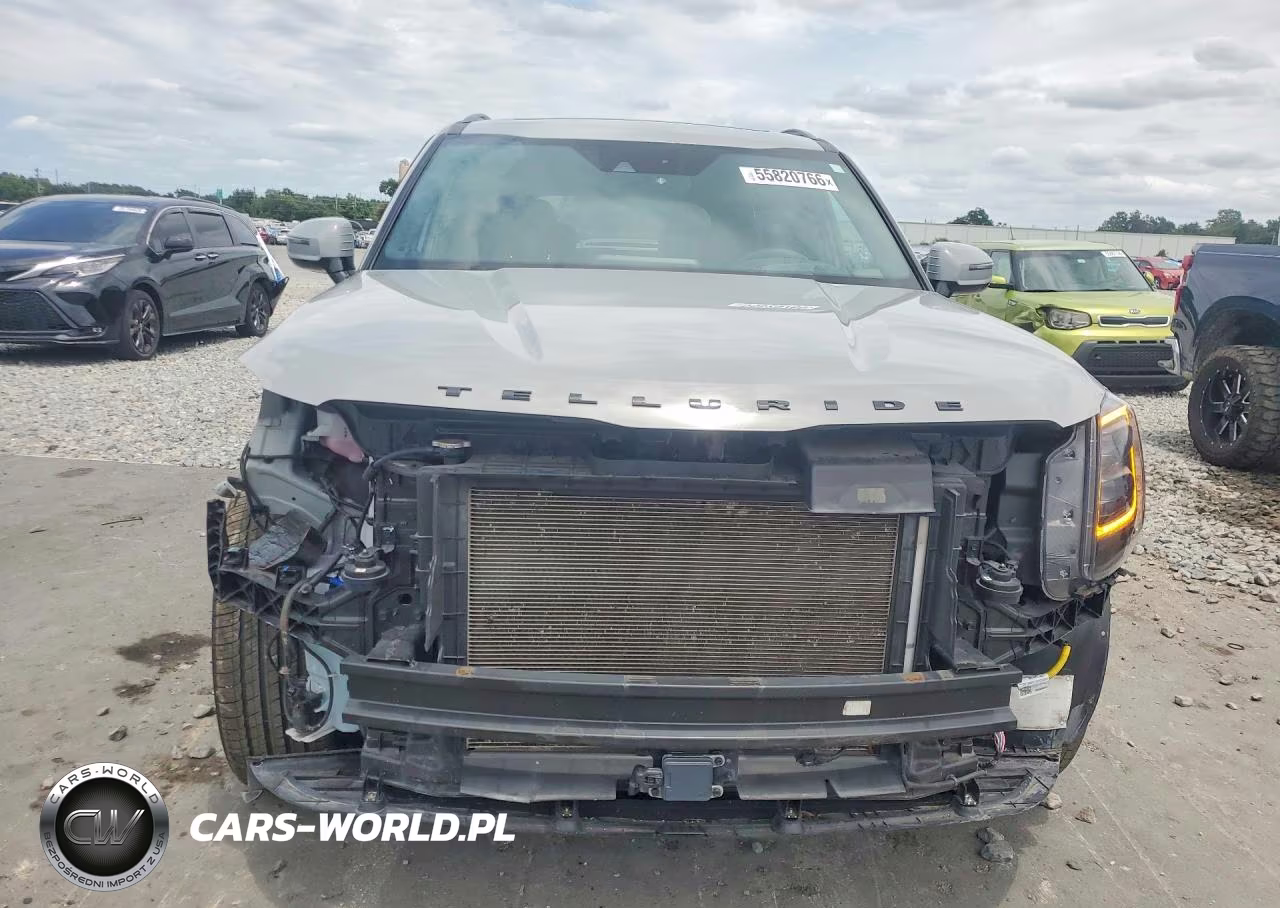 2022 Kia Telluride Sx VIN:5XYP5DHC2NG301912 - 5