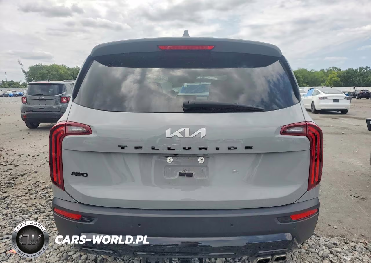 2022 Kia Telluride Sx VIN:5XYP5DHC2NG301912 - 6
