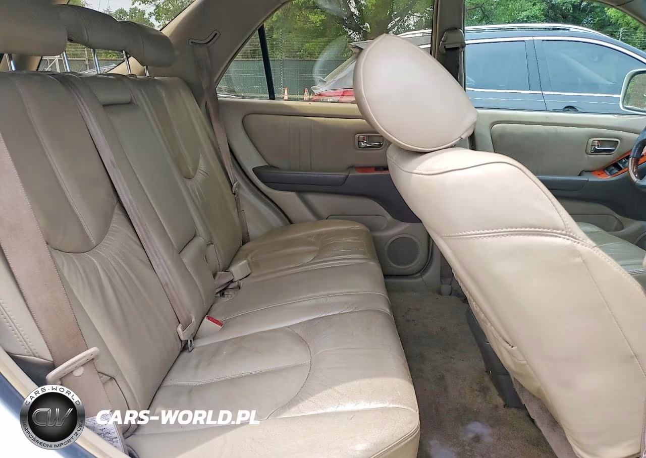2001 Lexus Rx 300 VIN:JTJHF10U510229962 - 10