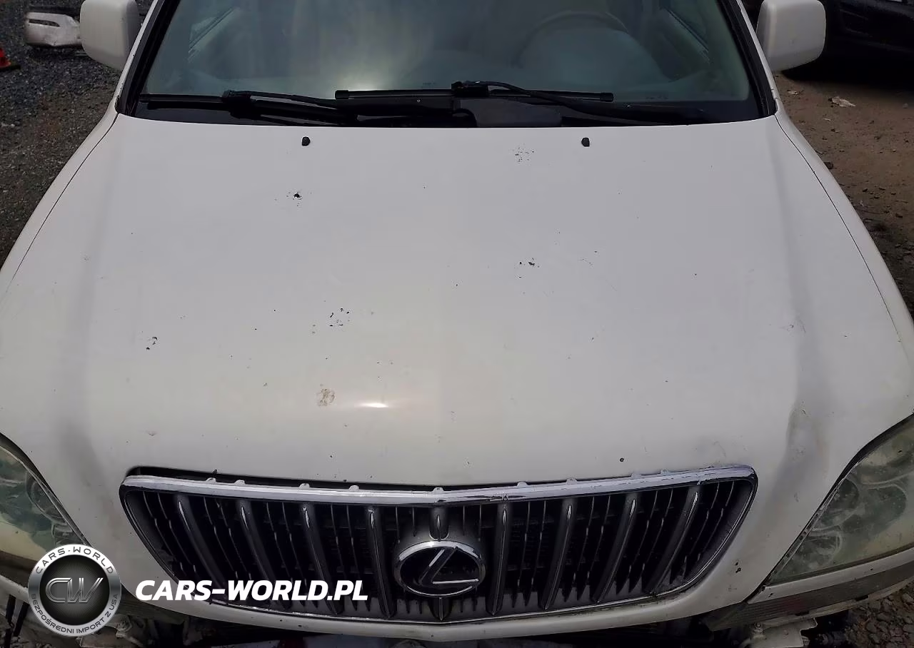 2001 Lexus Rx 300 VIN:JTJHF10U510229962 - 11