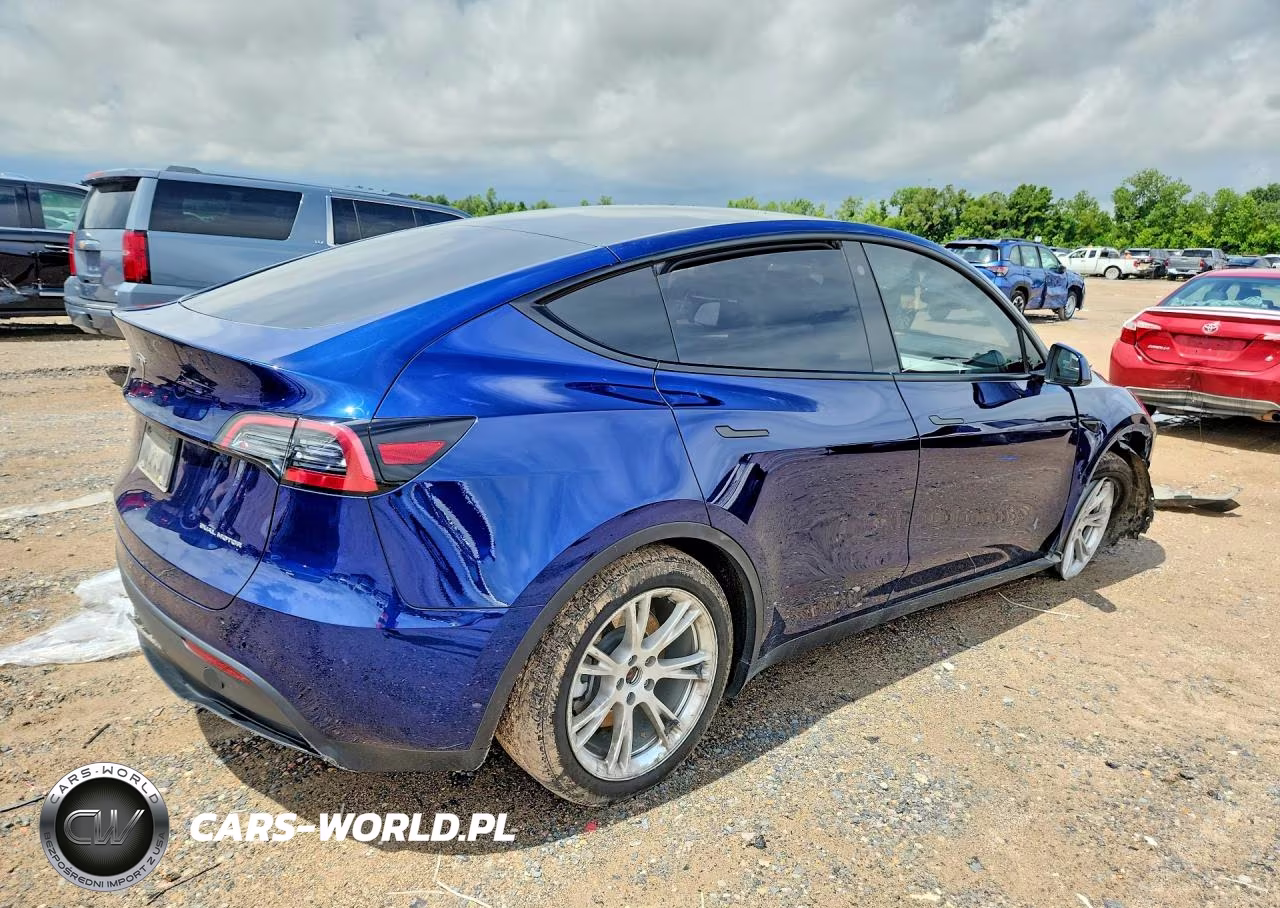 2023 Tesla Model Y VIN:7SAYGDEE9PA111717 - 3