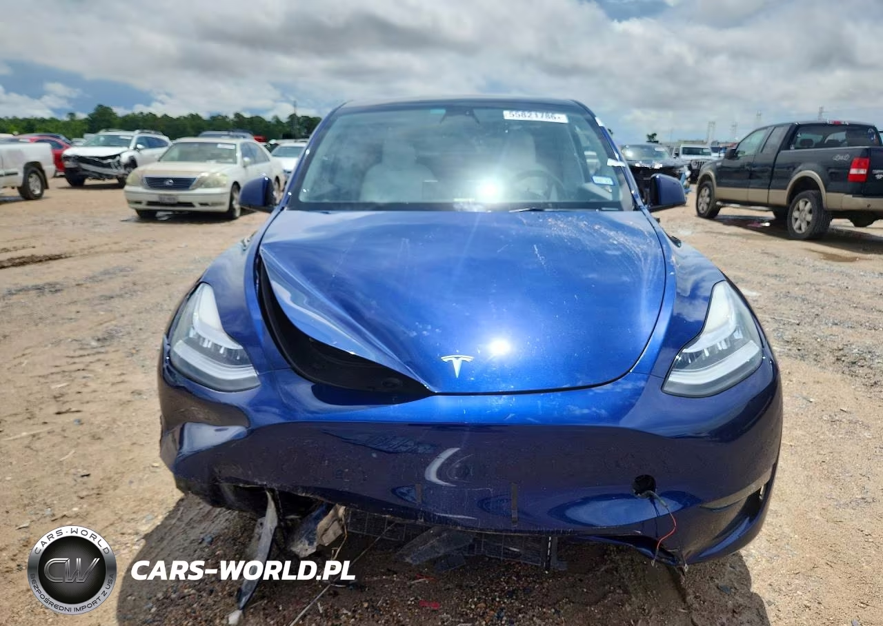 2023 Tesla Model Y VIN:7SAYGDEE9PA111717 - 5