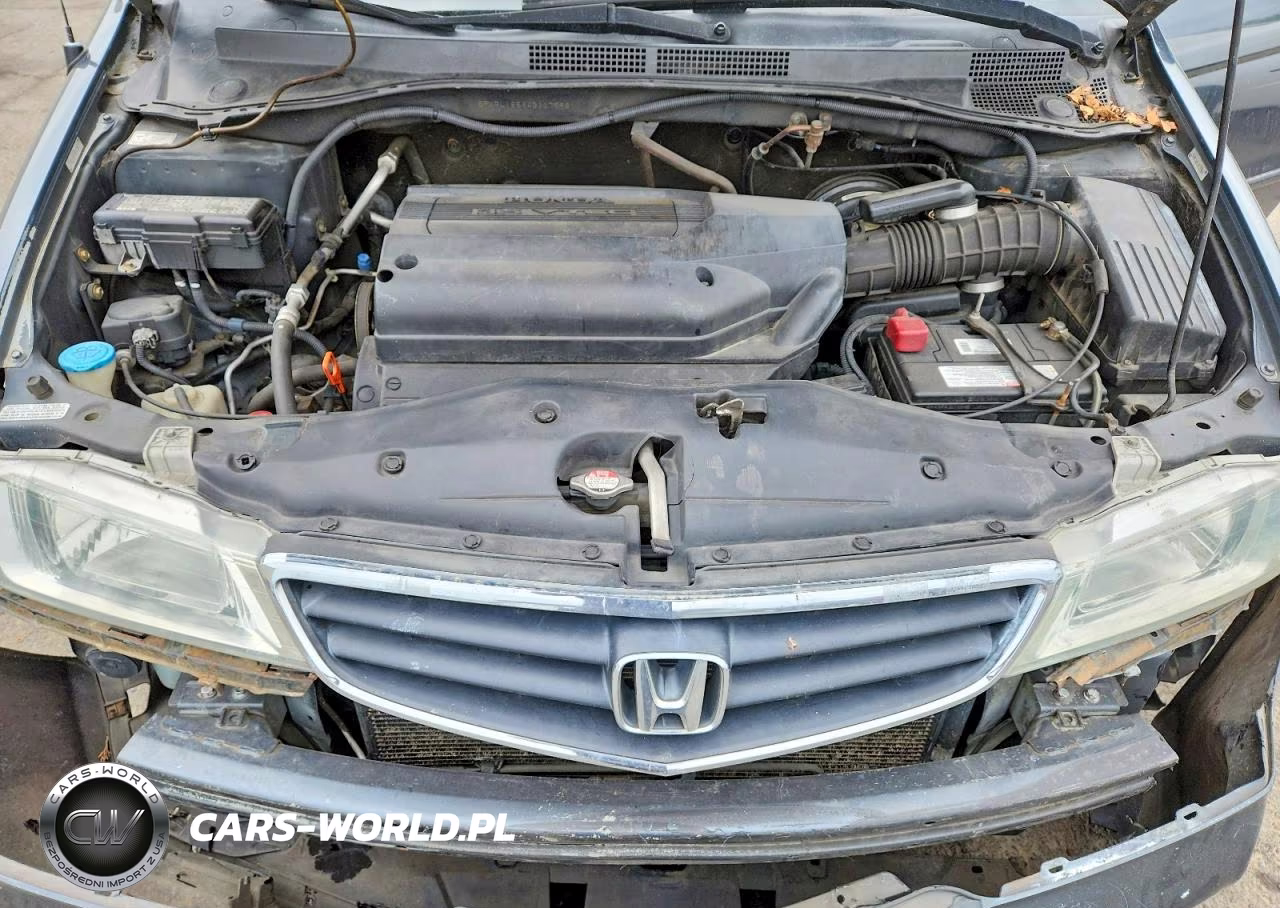 2004 Honda Odyssey Lx VIN:5FNRL18564B117996 - 11
