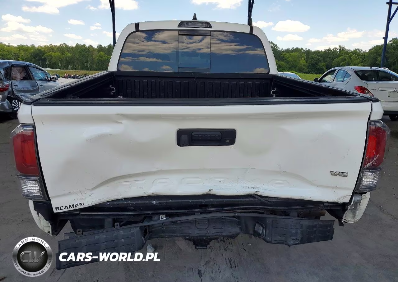 2021 Toyota Tacoma Trd Off-Road VIN:3TMCZ5AN3MM406643 - 6