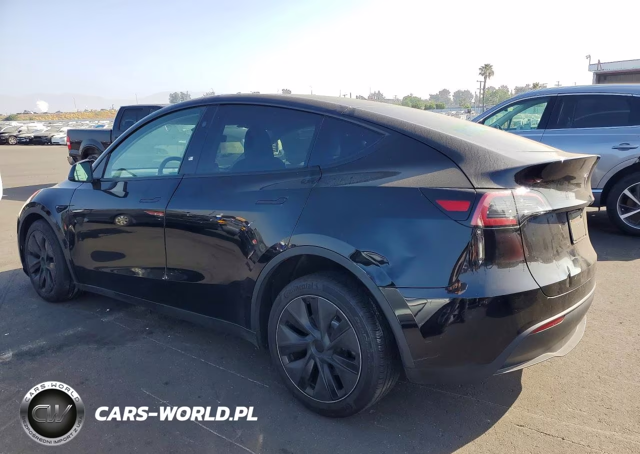 2024 Tesla Model Y VIN:7SAYGDED9RF120883 - 2