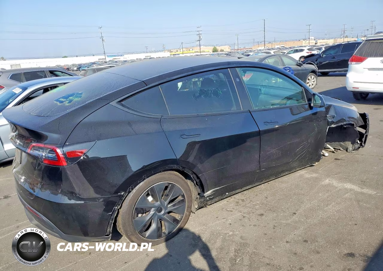 2024 Tesla Model Y VIN:7SAYGDED9RF120883 - 3