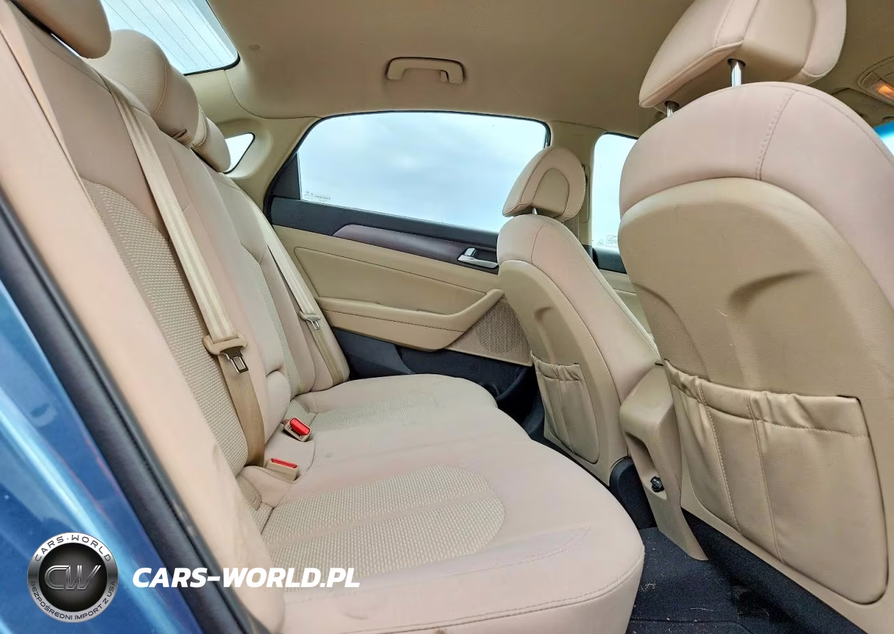 2017 Hyundai Sonata Sport VIN:5NPE34AF5HH440785 - 10