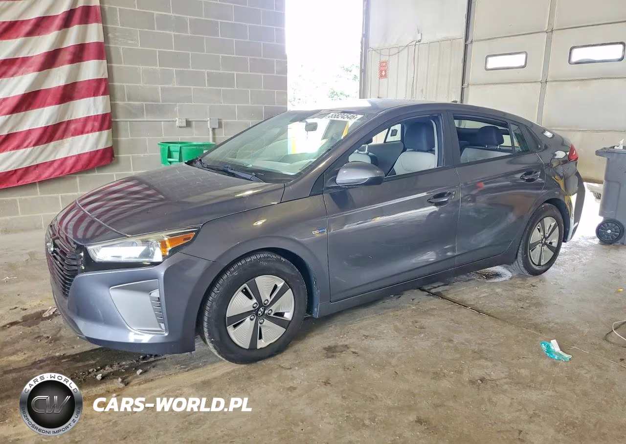2019 Hyundai Ioniq Blue – zdjęcie 1 z 12