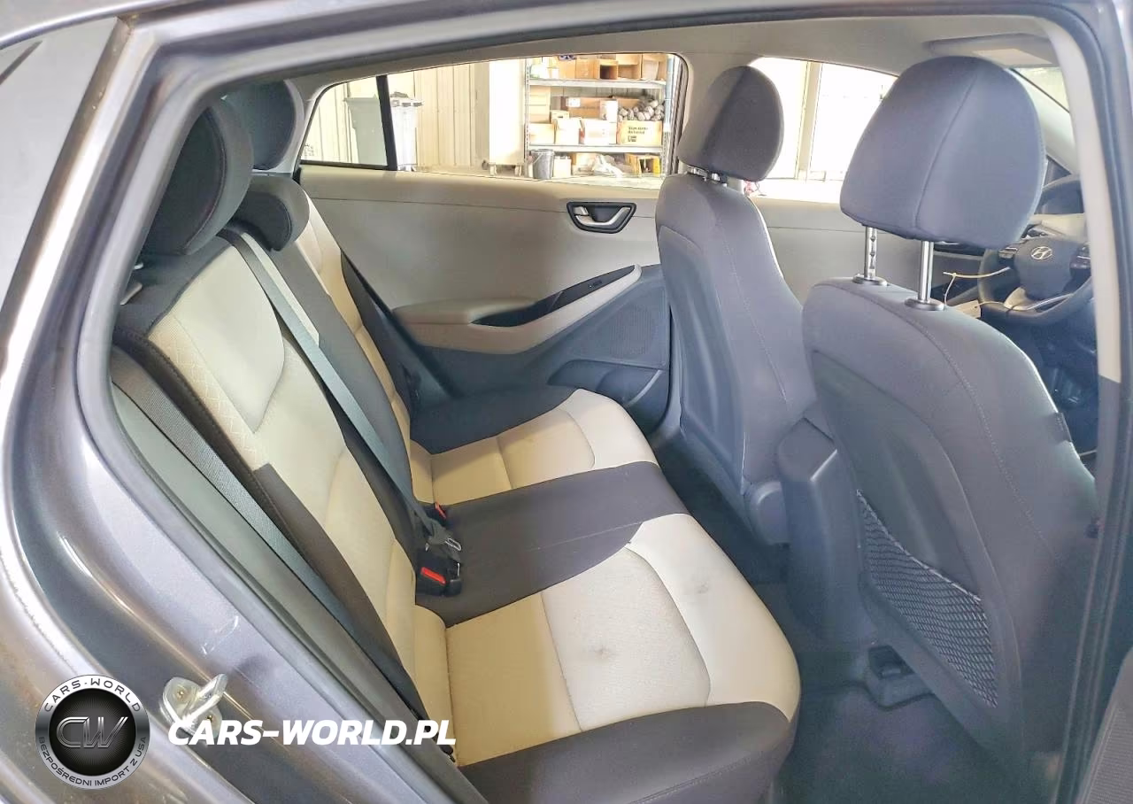 2019 Hyundai Ioniq Blue VIN:KMHC65LC3KU125306 - 10