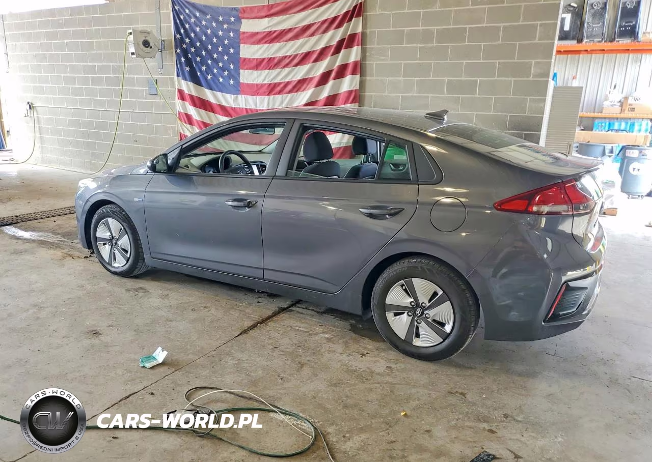 2019 Hyundai Ioniq Blue VIN:KMHC65LC3KU125306 - 2