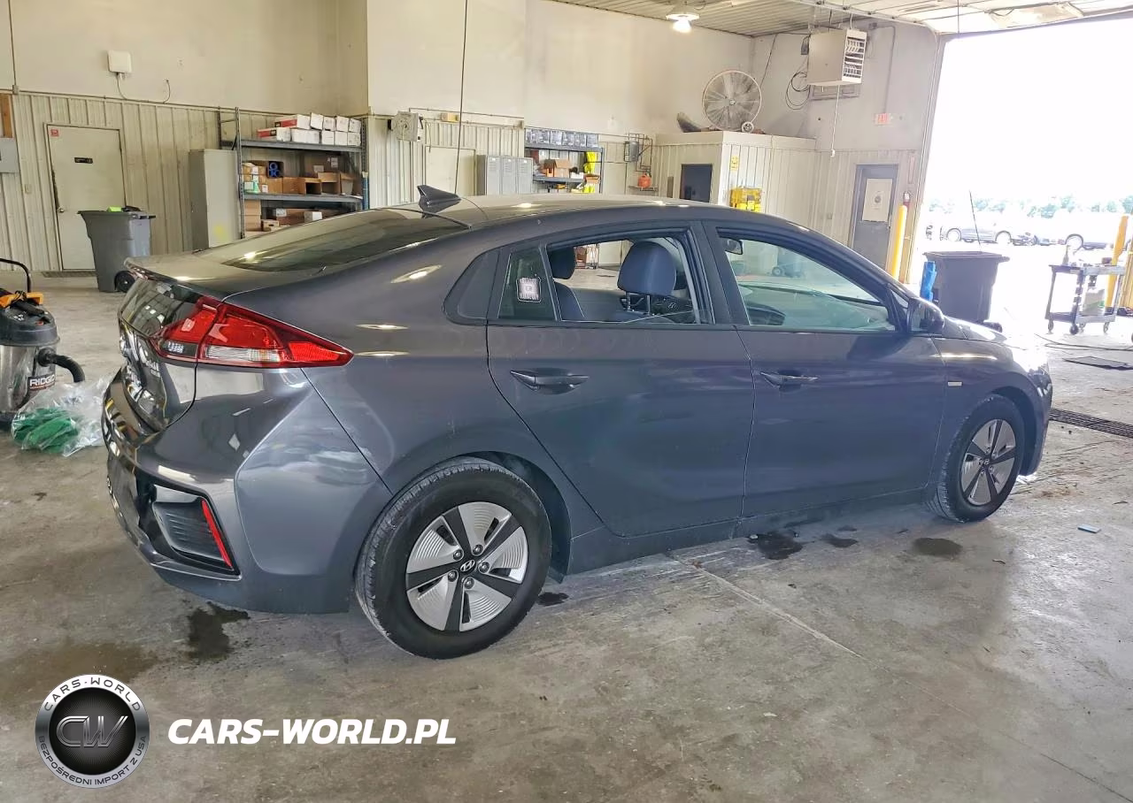2019 Hyundai Ioniq Blue VIN:KMHC65LC3KU125306 - 3
