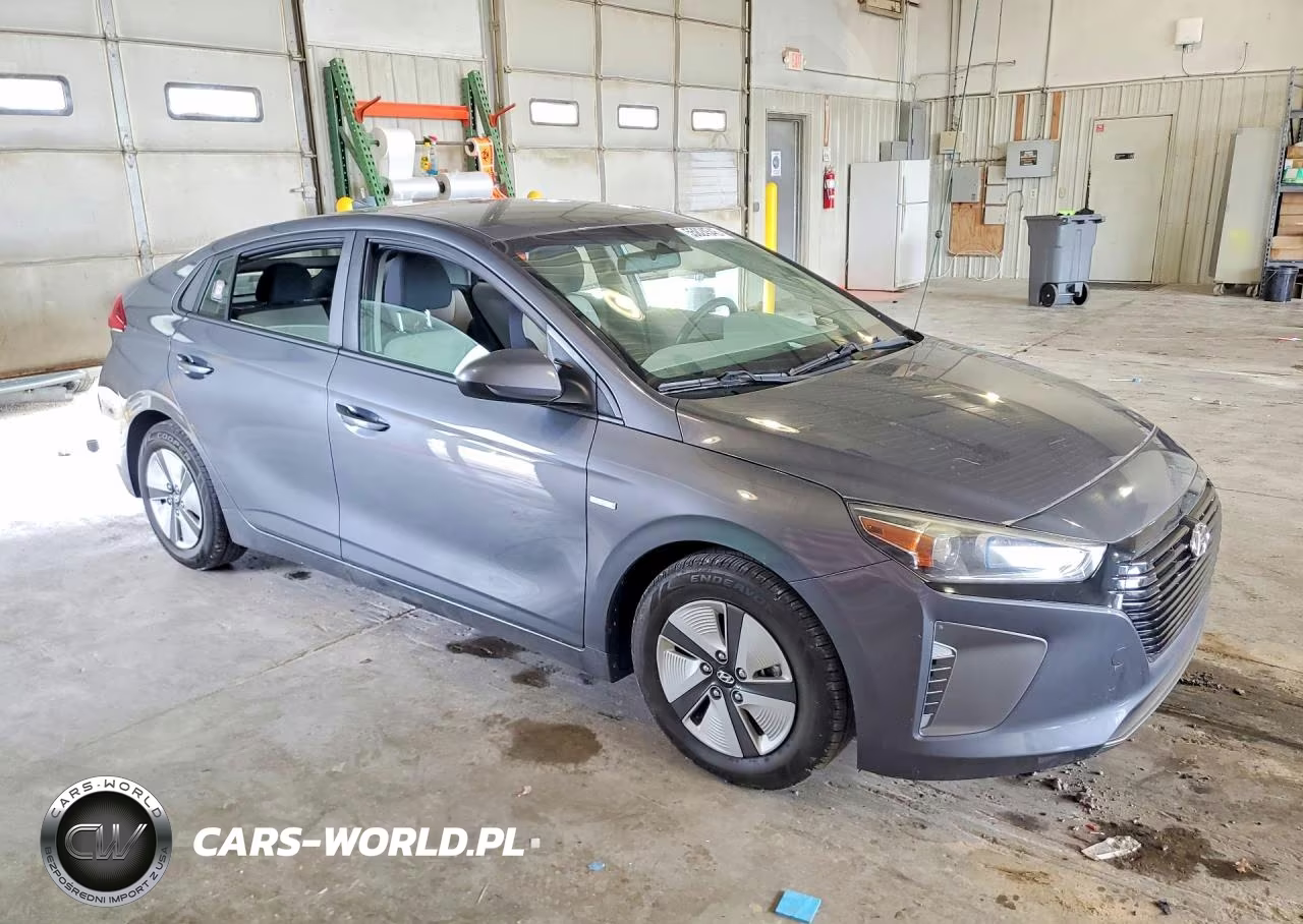 2019 Hyundai Ioniq Blue VIN:KMHC65LC3KU125306 - 4