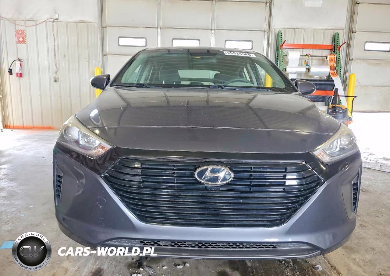 2019 Hyundai Ioniq Blue VIN:KMHC65LC3KU125306 - 5