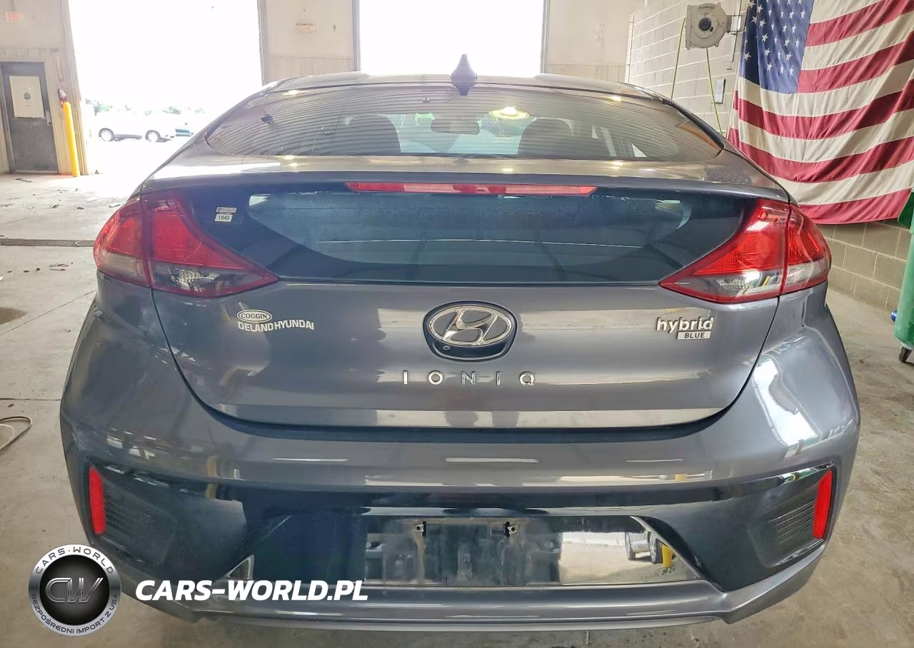 2019 Hyundai Ioniq Blue VIN:KMHC65LC3KU125306 - 6
