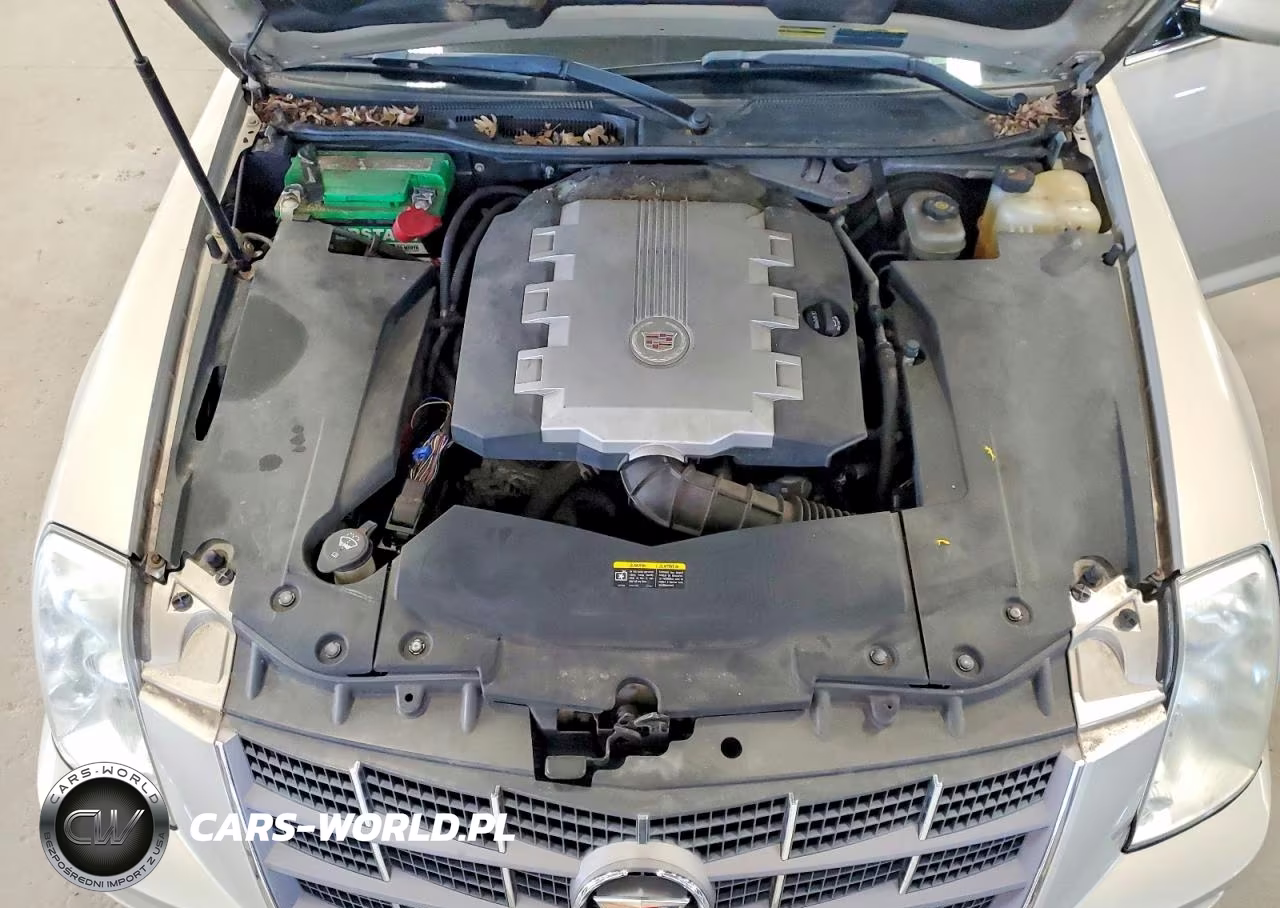 2008 Cadillac Sts VIN:1G6DA67V980199695 - 11