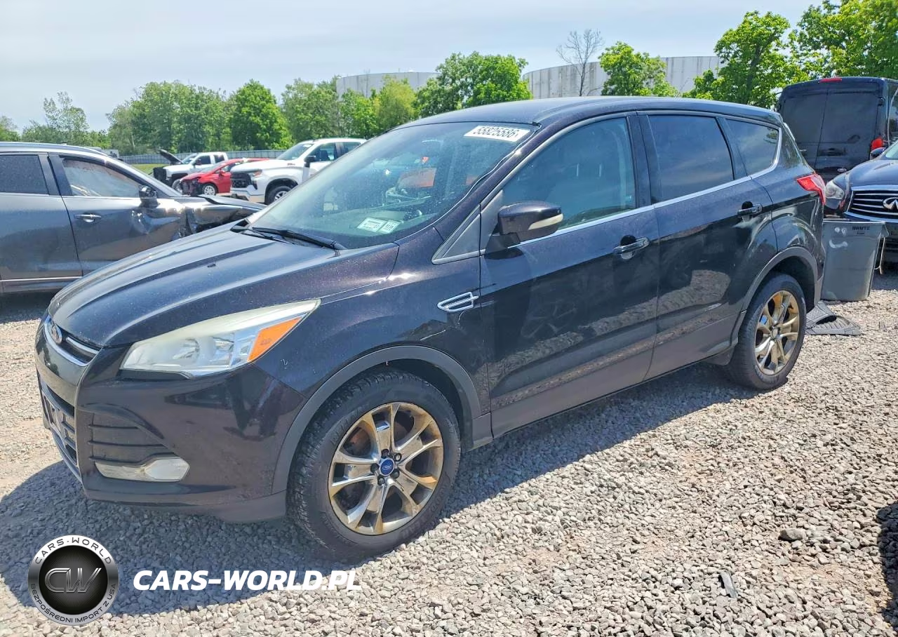 2013 Ford Escape Sel – zdjęcie 1 z 13