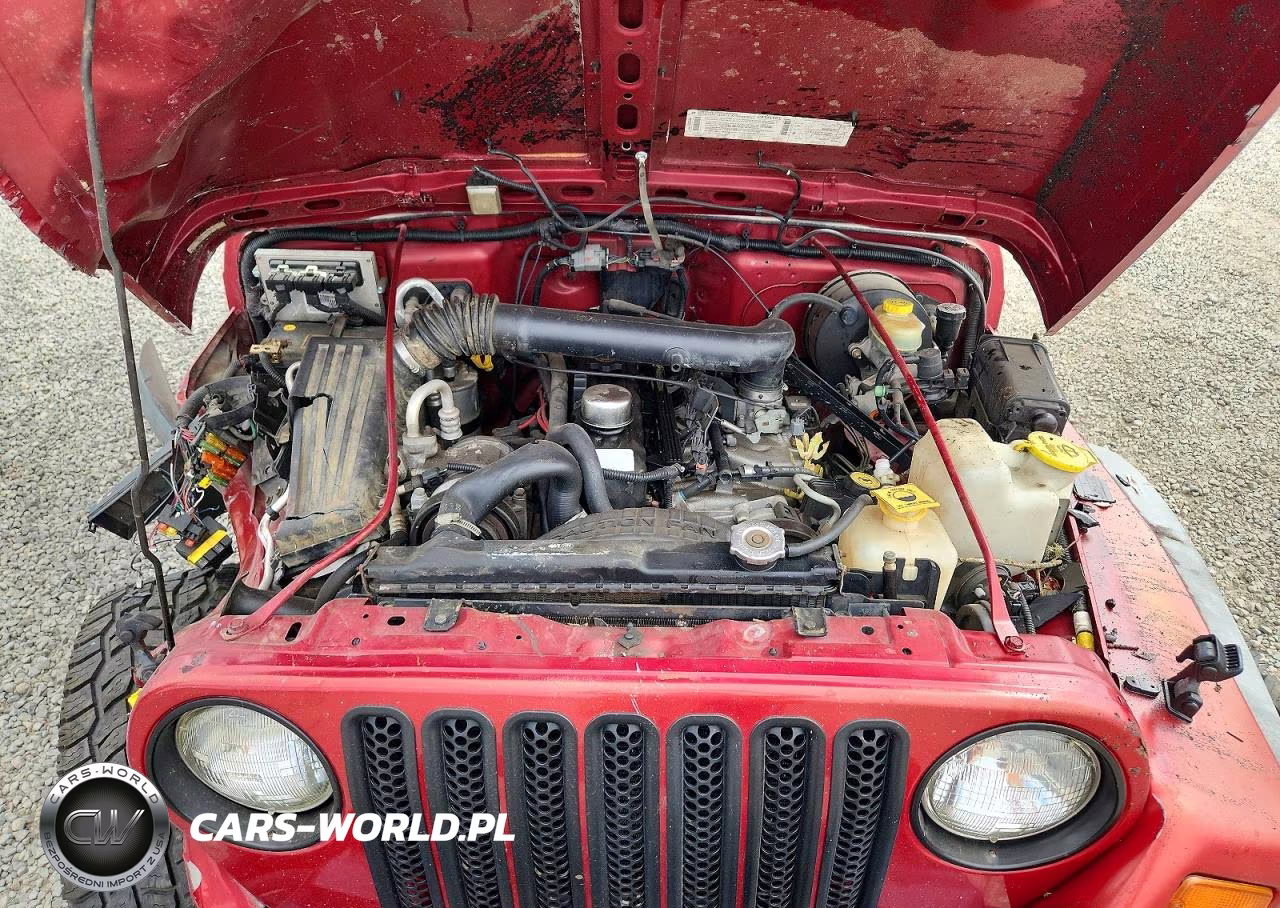 1999 Jeep Wrangler Sport VIN:1J4FY19S3XP482830 - 12