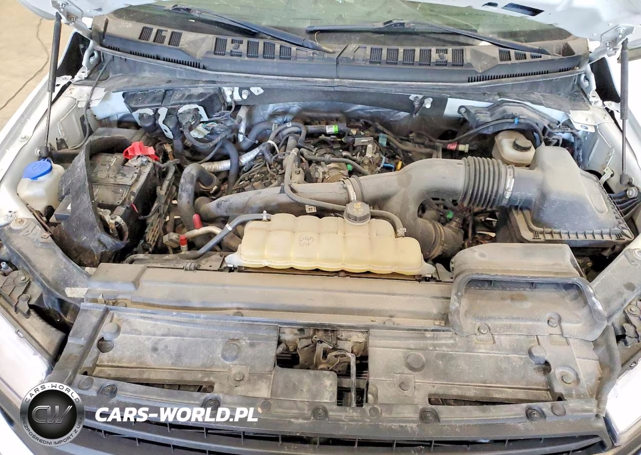 2020 Ford F150 VIN:1FTMF1EP4LKD04260 - 11