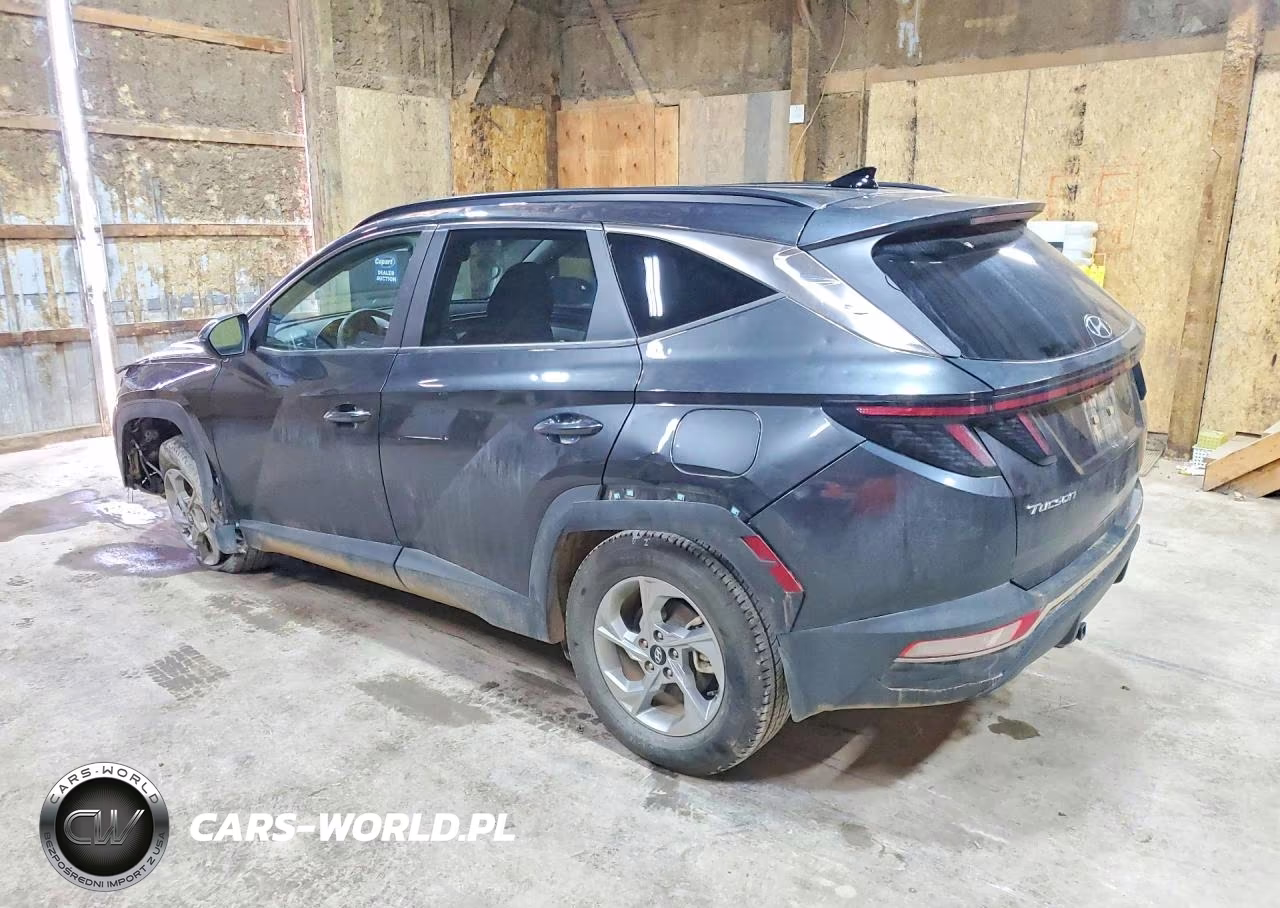 2023 Hyundai Tucson Sel VIN:5NMJBCAE9PH197898 - 2