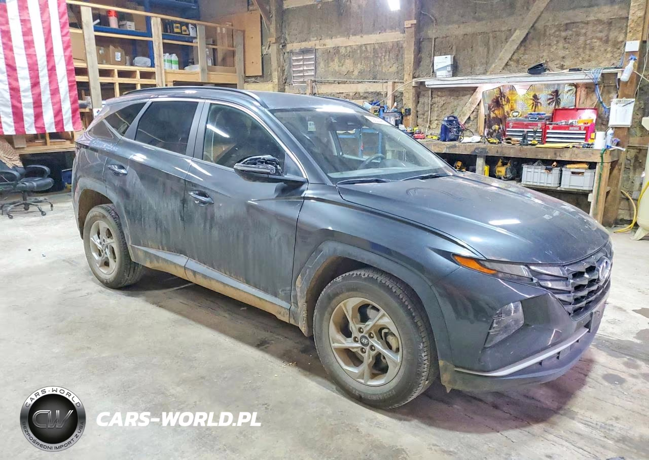 2023 Hyundai Tucson Sel VIN:5NMJBCAE9PH197898 - 4