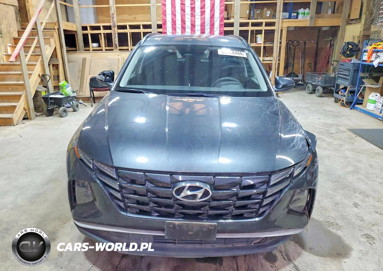 2023 Hyundai Tucson Sel VIN:5NMJBCAE9PH197898 - 5