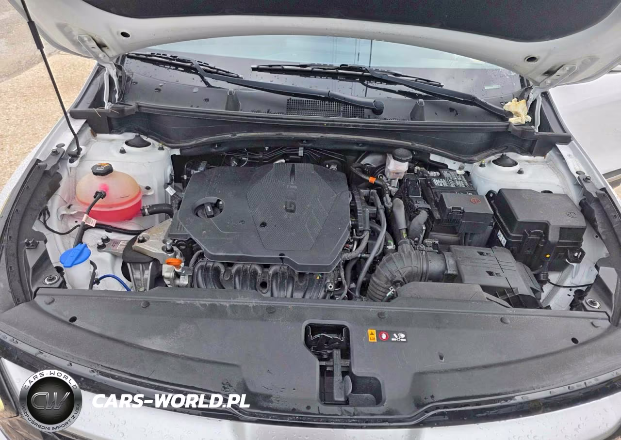 2023 Kia Sportage Ex VIN:5XYK33AF8PG101666 - 7