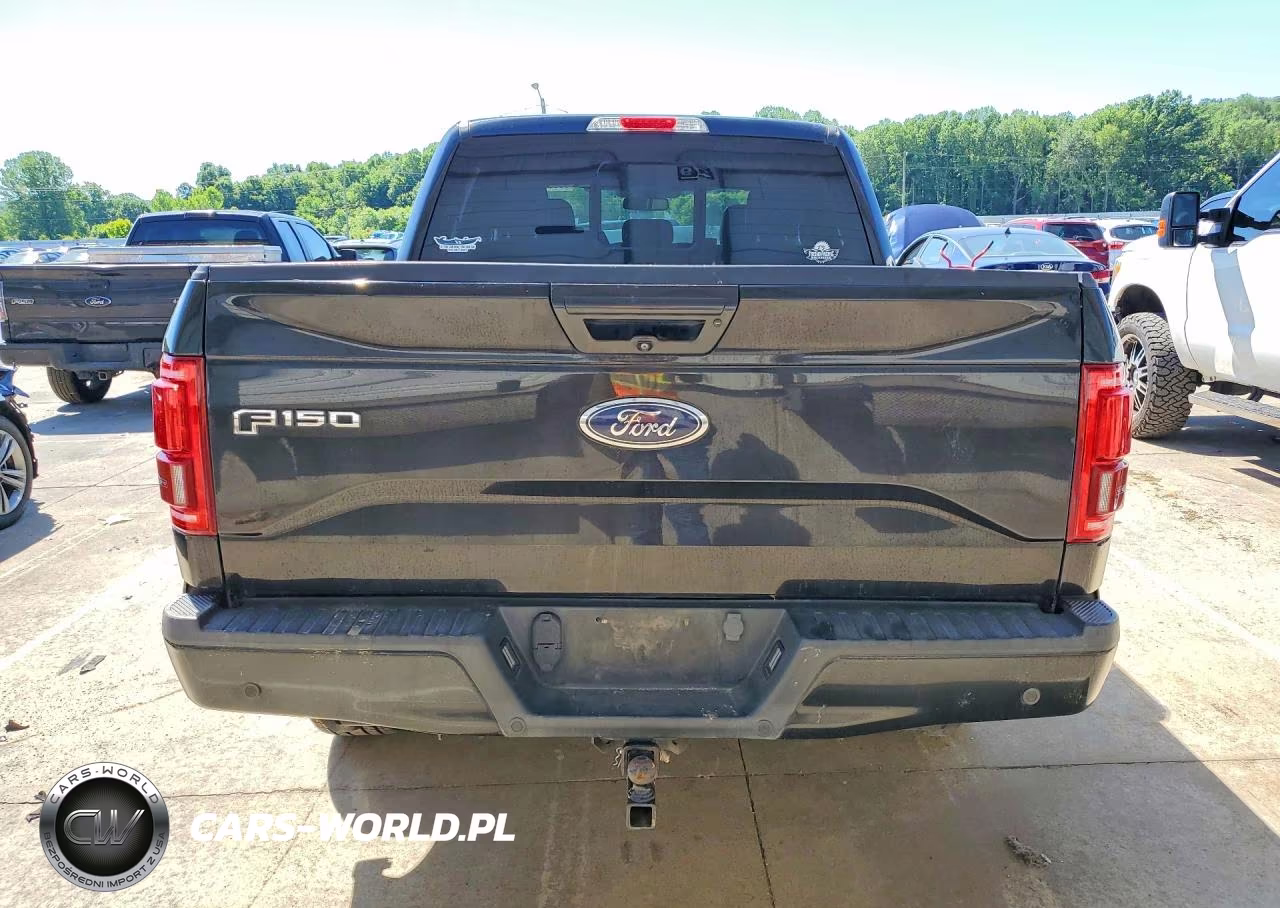 2015 Ford F150 Supercrew VIN:1FTEW1EG0FFB99220 - 6