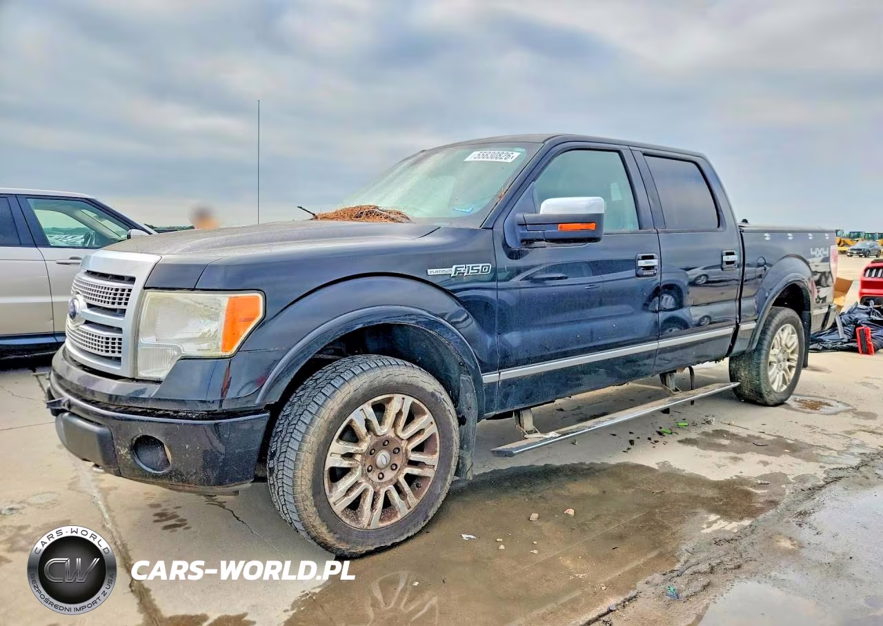 2011 Ford F150 Platinum – zdjęcie 1 z 12