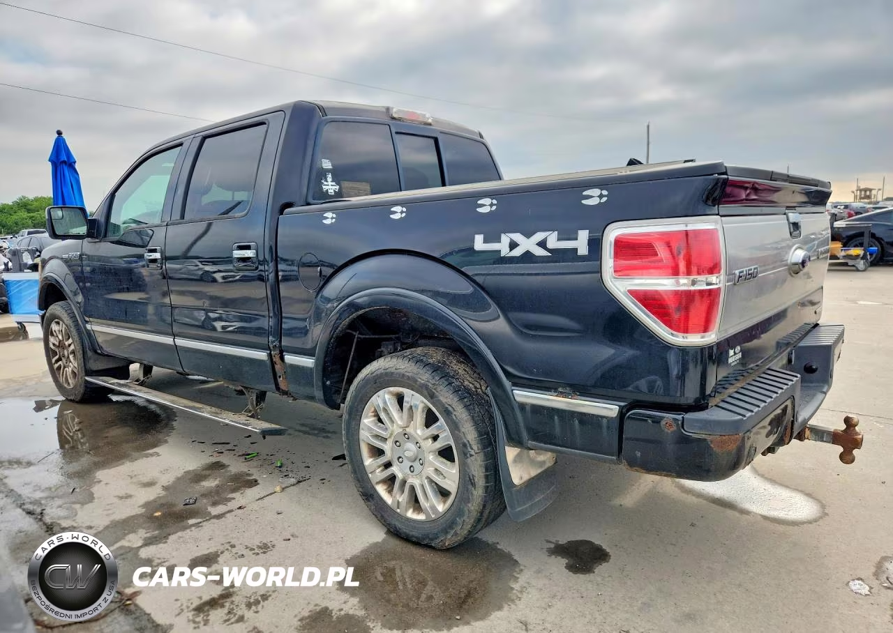 2011 Ford F150 Platinum VIN:1FTFW1EF7BFA36313 - 2