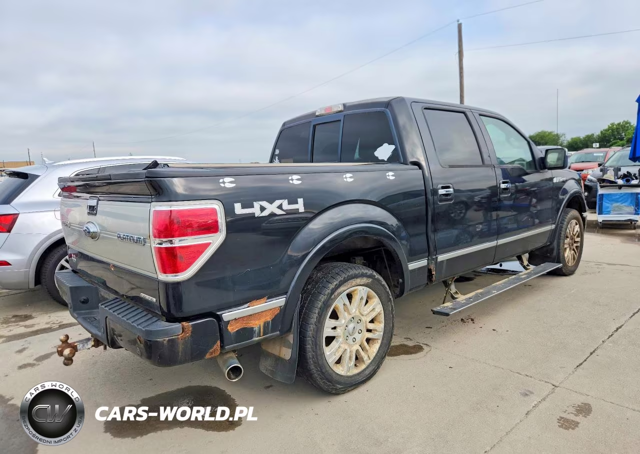 2011 Ford F150 Platinum VIN:1FTFW1EF7BFA36313 - 3