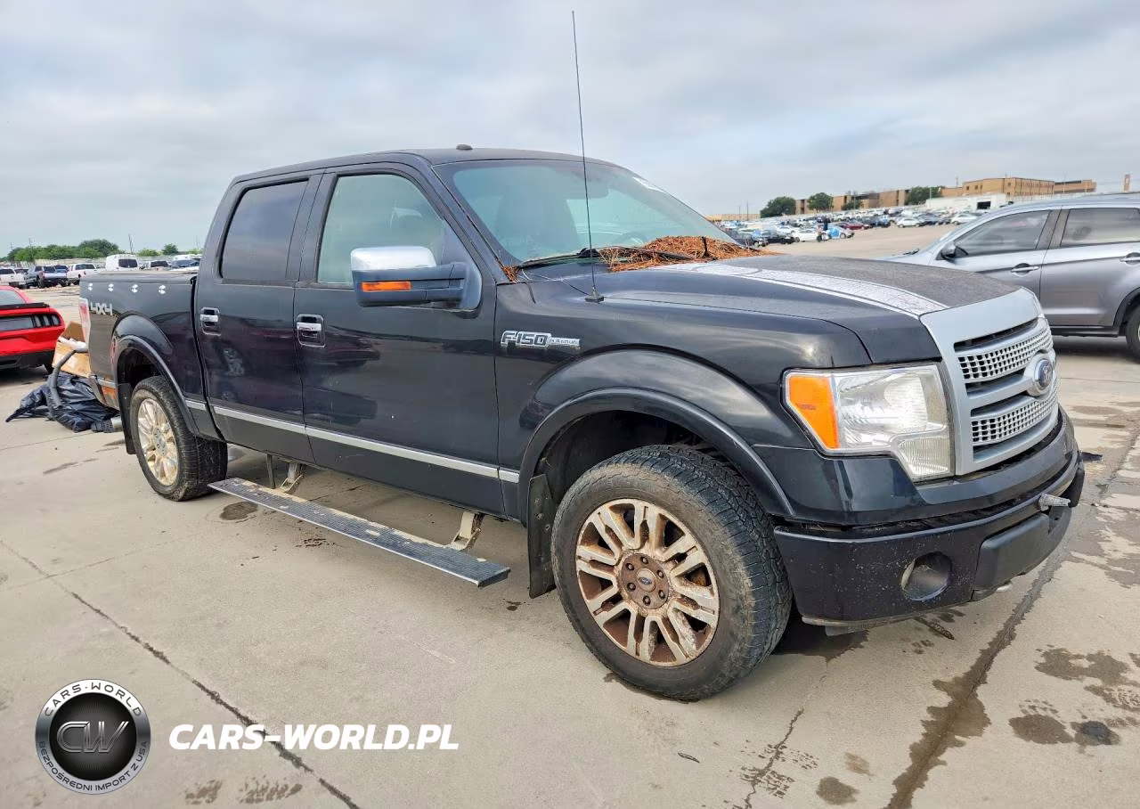 2011 Ford F150 Platinum VIN:1FTFW1EF7BFA36313 - 4