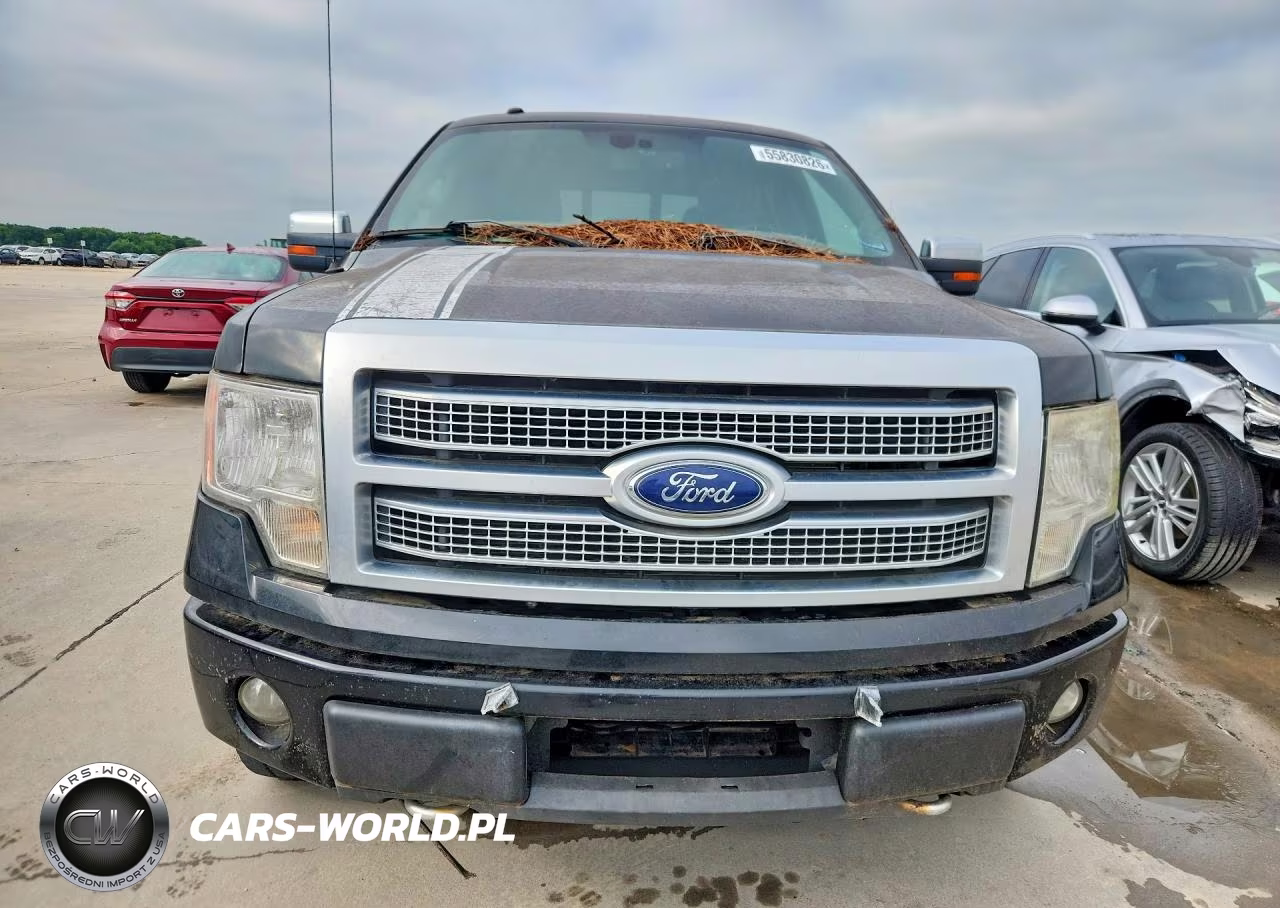 2011 Ford F150 Platinum VIN:1FTFW1EF7BFA36313 - 5