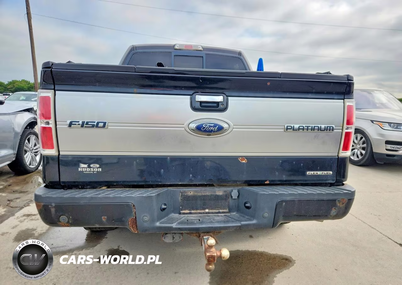 2011 Ford F150 Platinum VIN:1FTFW1EF7BFA36313 - 6