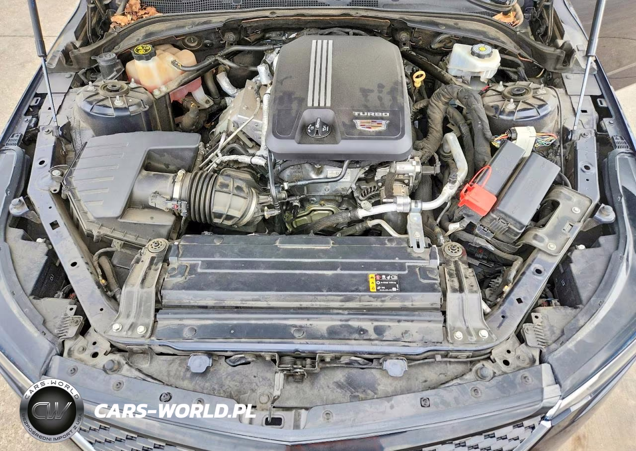 2020 Cadillac Ct4 Luxury VIN:1G6DK5RK3L0143254 - 11