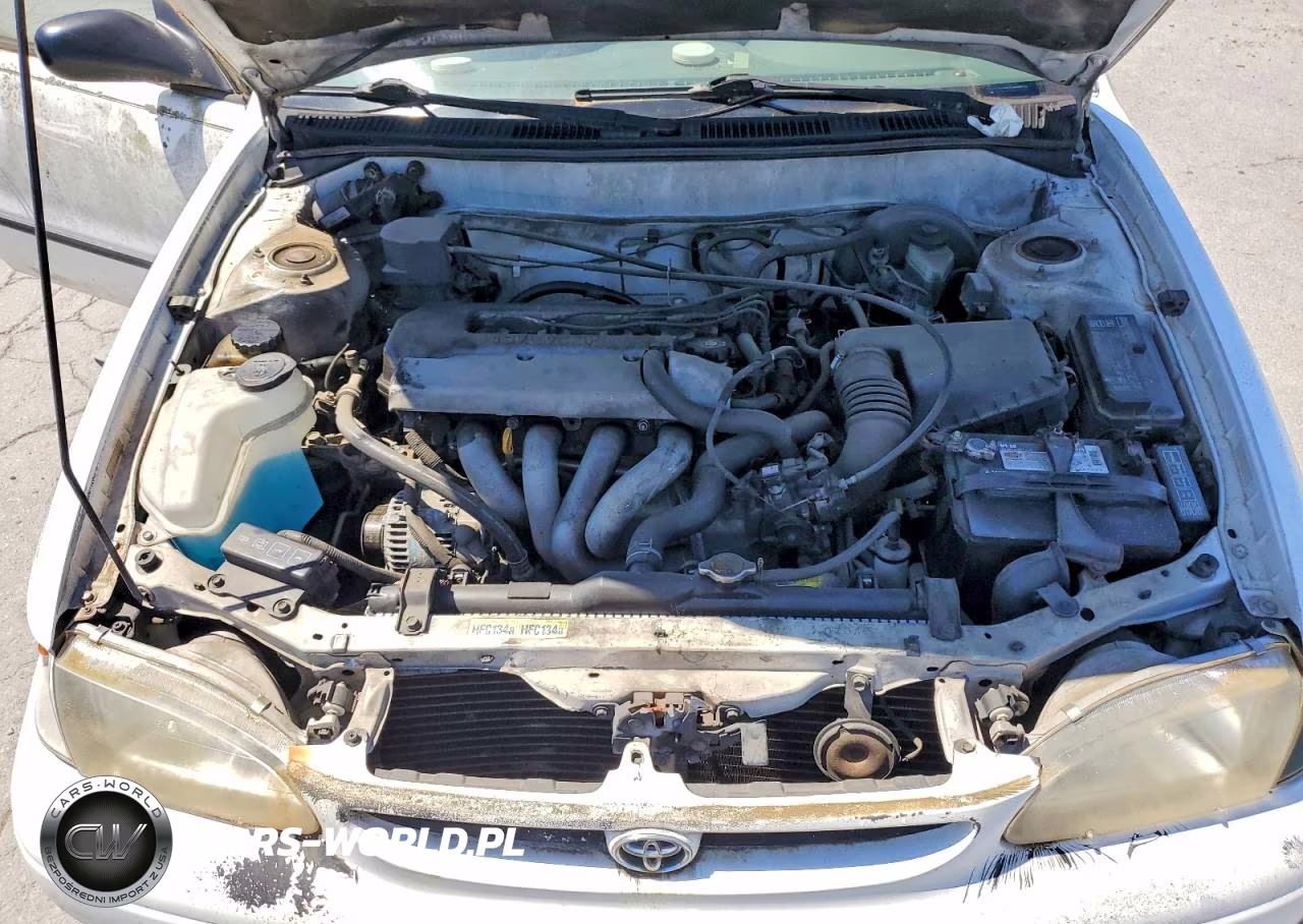 1998 Toyota Corolla Ve VIN:1NXBR12E8WZ010107 - 11