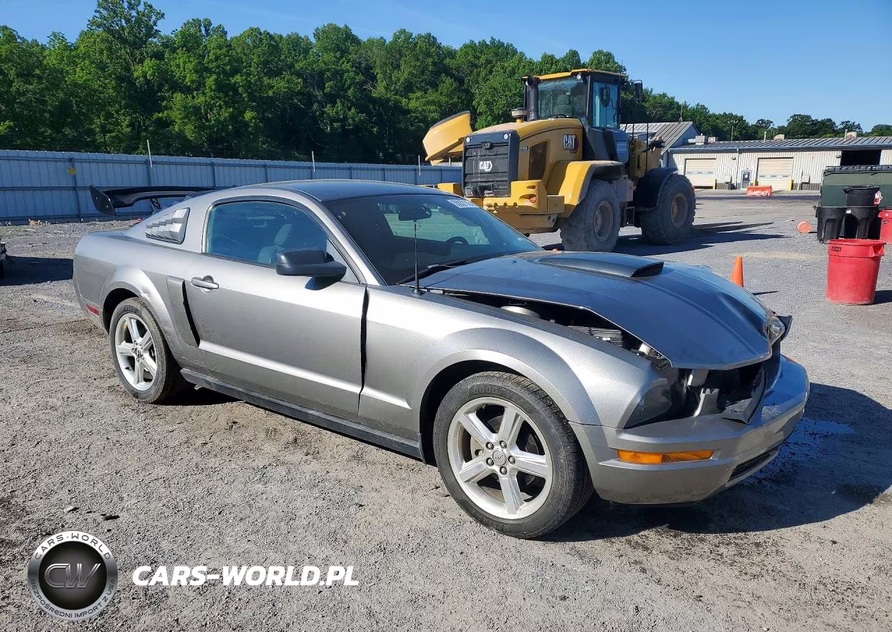 2008 Ford Mustang VIN:1ZVHT80N785187639 - 4