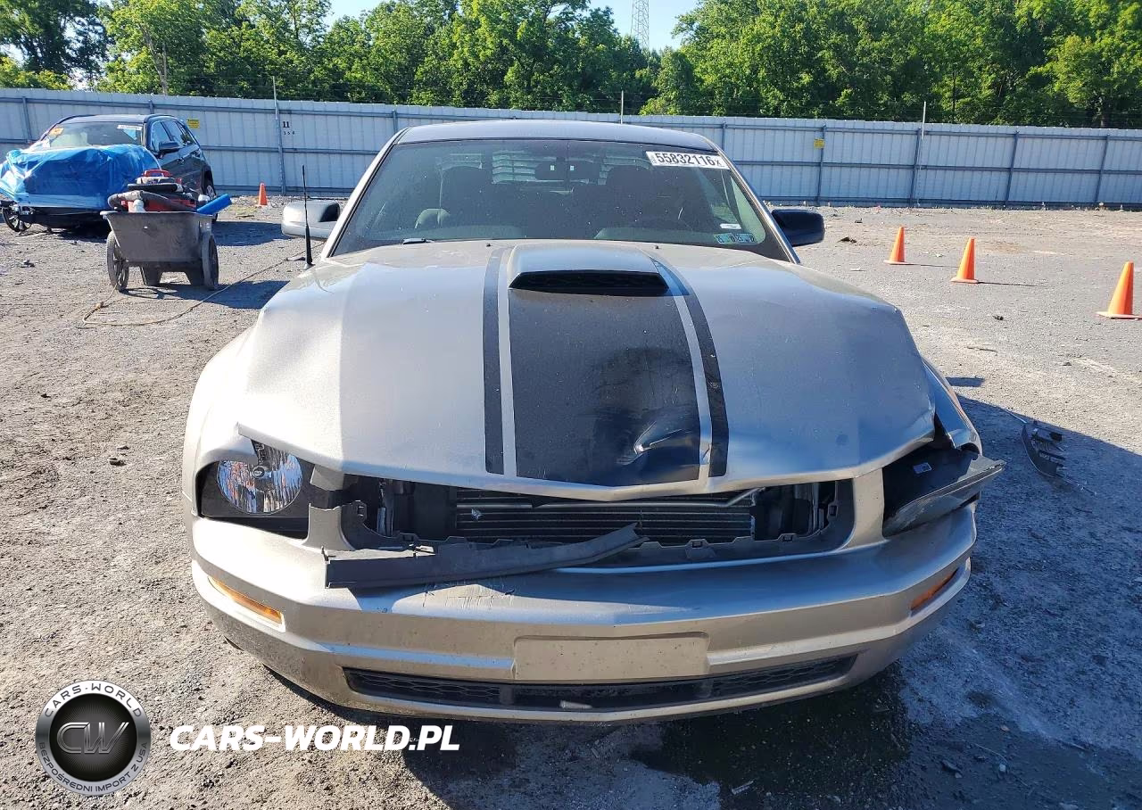 2008 Ford Mustang VIN:1ZVHT80N785187639 - 5