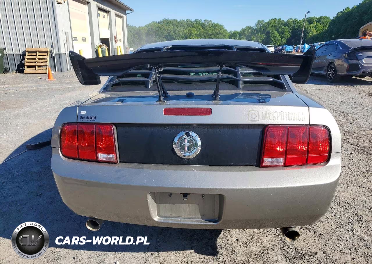 2008 Ford Mustang VIN:1ZVHT80N785187639 - 6
