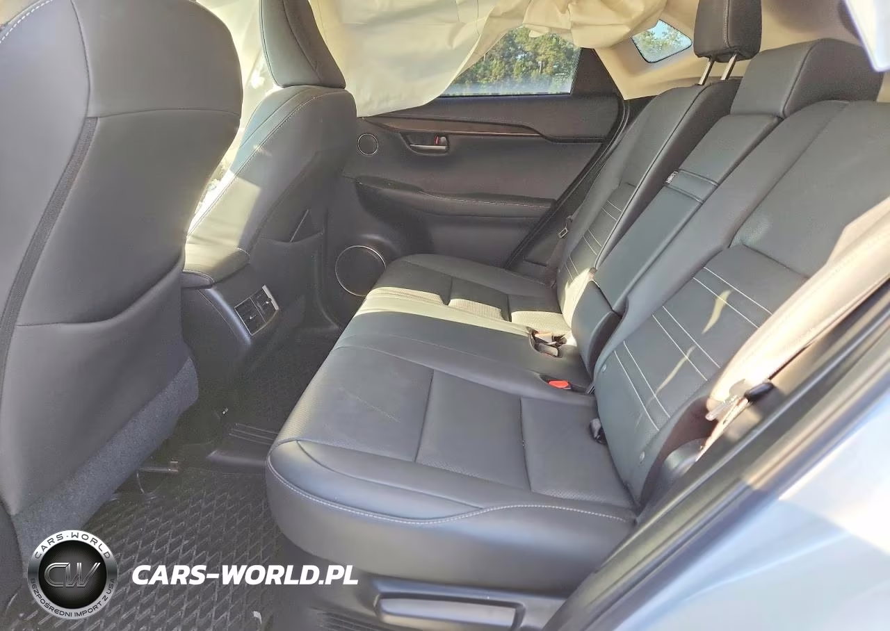 2020 Lexus Nx 300 VIN:JTJGARDZ3L2232235 - 10