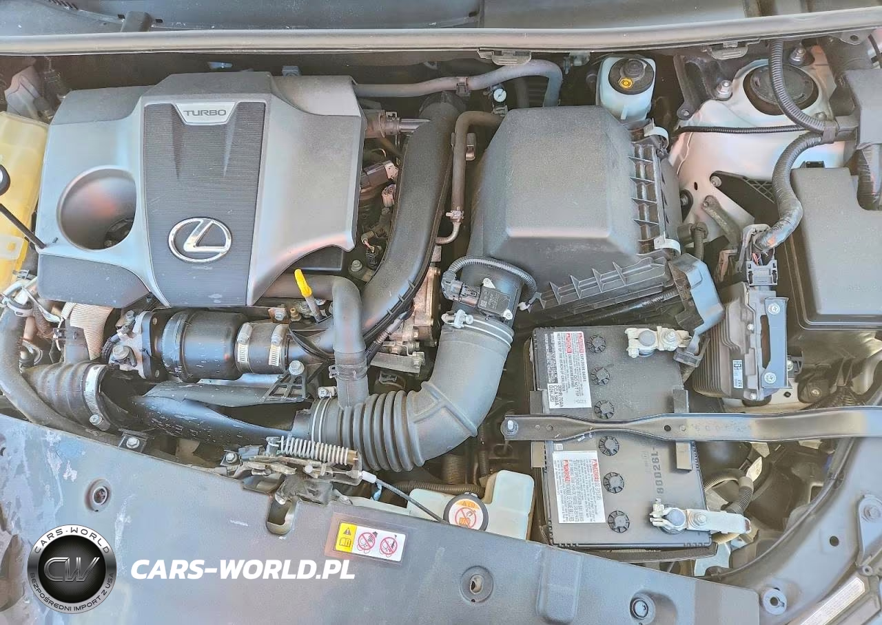 2020 Lexus Nx 300 VIN:JTJGARDZ3L2232235 - 11