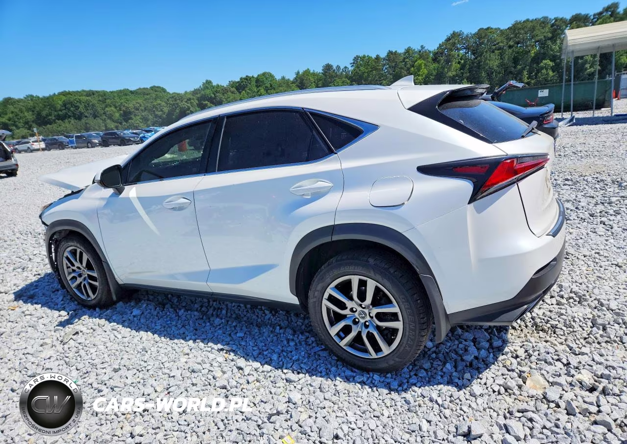 2020 Lexus Nx 300 VIN:JTJGARDZ3L2232235 - 2