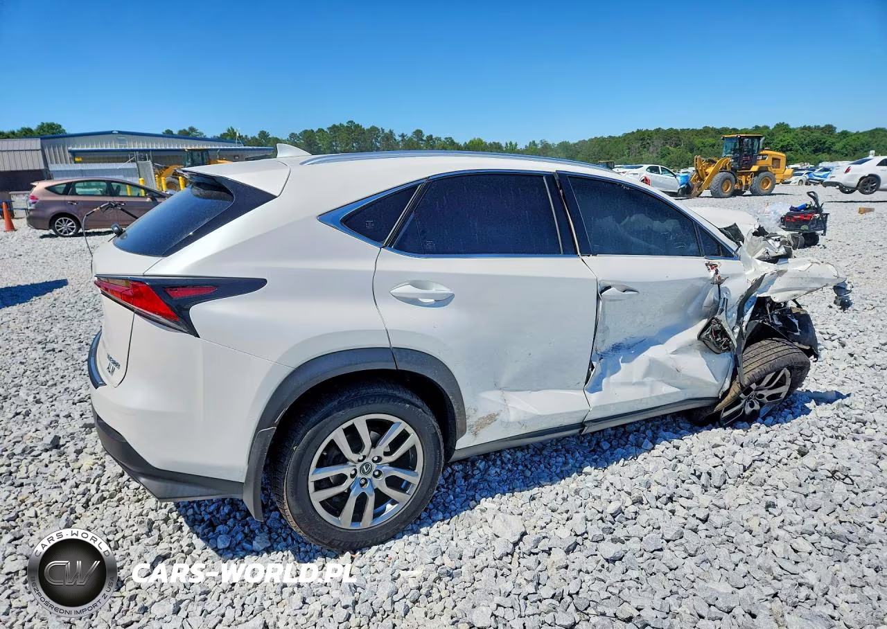 2020 Lexus Nx 300 VIN:JTJGARDZ3L2232235 - 3