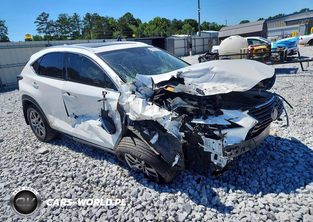 2020 Lexus Nx 300 VIN:JTJGARDZ3L2232235 - 4