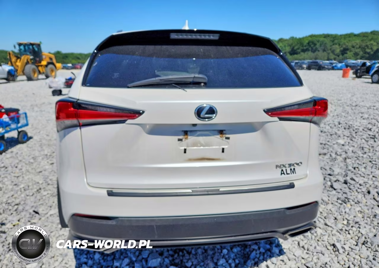 2020 Lexus Nx 300 VIN:JTJGARDZ3L2232235 - 6