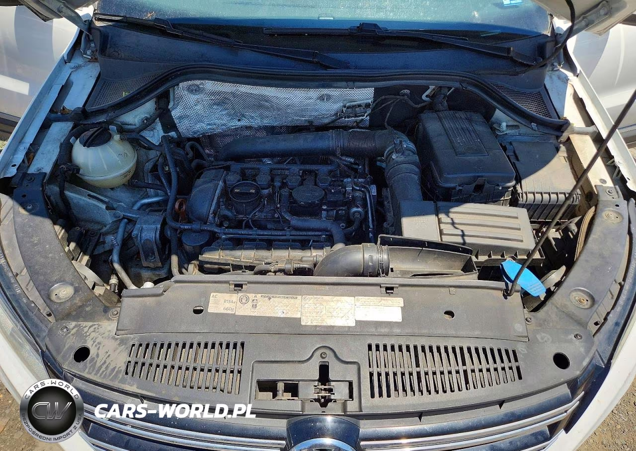 2013 Volkswagen Tiguan S VIN:WVGBV7AX9DW537091 - 12