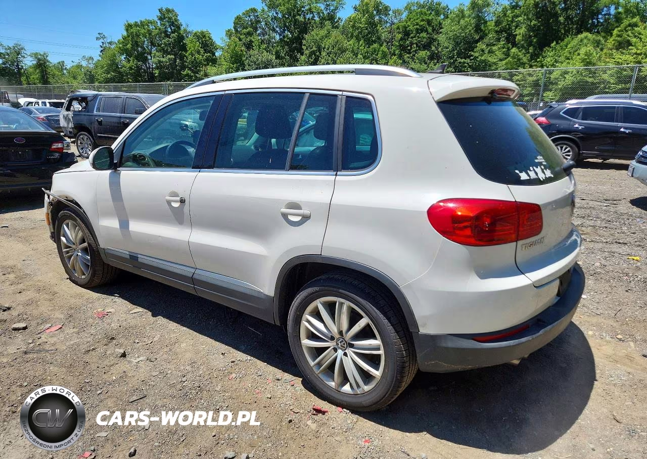 2013 Volkswagen Tiguan S VIN:WVGBV7AX9DW537091 - 2